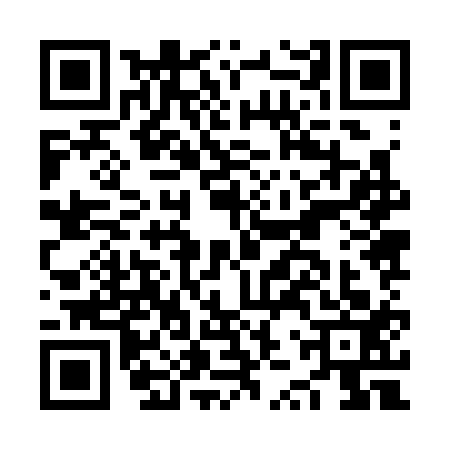 QR code for NZZ3130