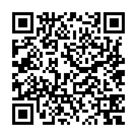 QR code for NZZ9385