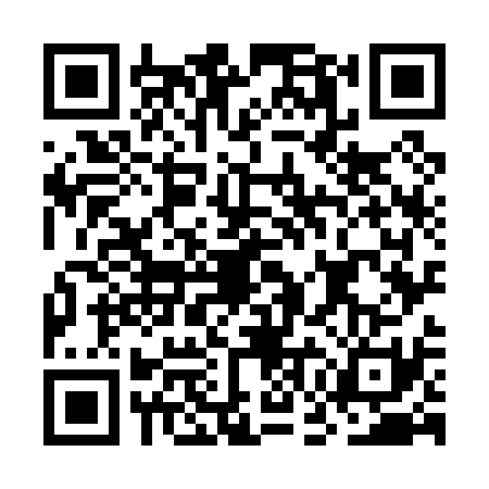 QR code for OGO0313