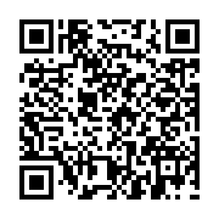 QR code for OID9838
