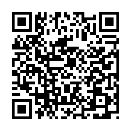 QR code for OJZ0411