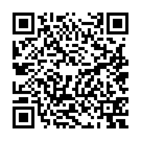 QR code for PAE1310