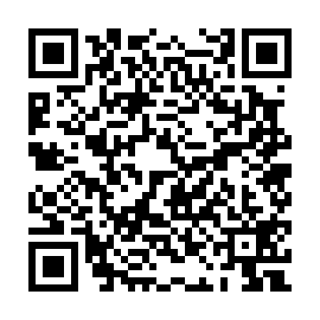 QR code for PAG0197