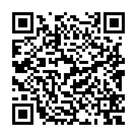 QR code for PAL1294