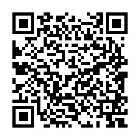 QR code for PAL2405