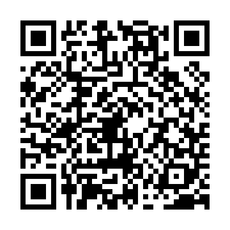 QR code for PAS0482