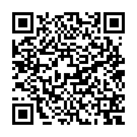 QR code for PAS3207