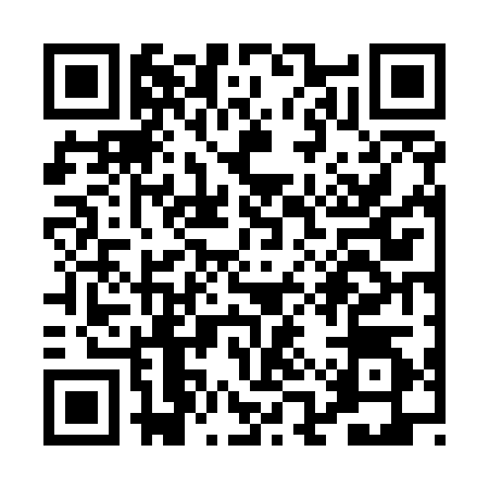 QR code for PAV5245