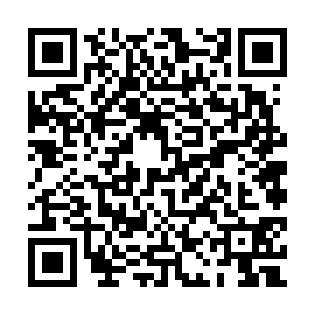 QR code for PAV6307