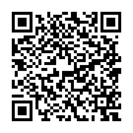 QR code for PAX5553