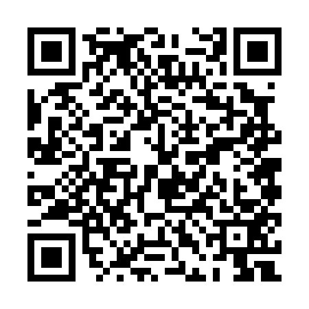 QR code for PDF0533