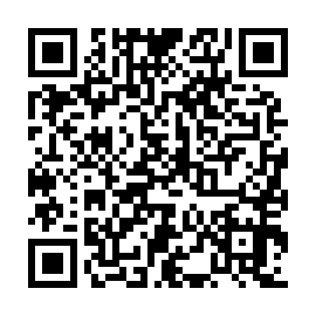 QR code for PDF9555