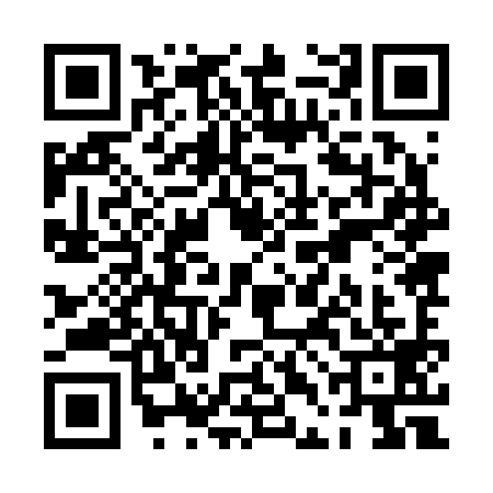 QR code for PDJ2991