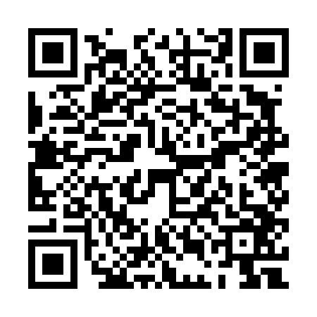 QR code for PEG4463