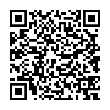 QR code for PET0382