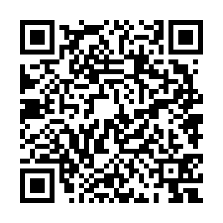 QR code for PFN6313