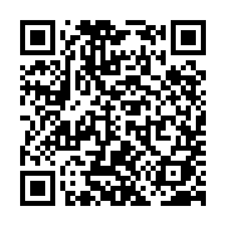 QR code for PG31MI