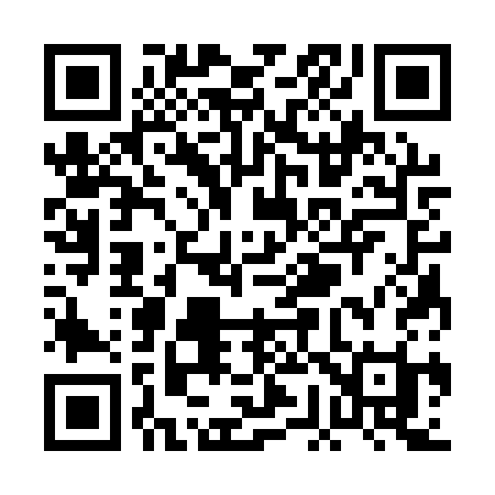 QR code for PG31SI
