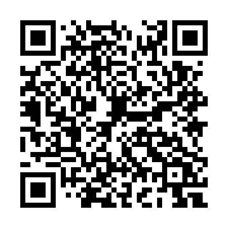 QR code for PG95PV