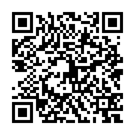 QR code for PHM3339