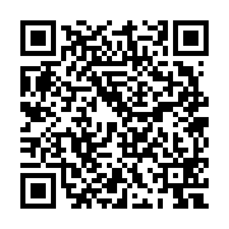 QR code for PHS6993