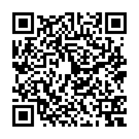 QR code for PHY3315