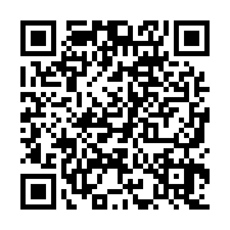 QR code for PII1271