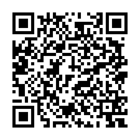 QR code for PII4613
