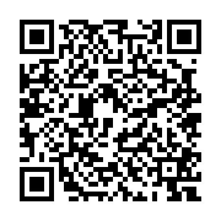 QR code for PIJ0010