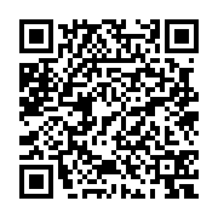 QR code for PIK0341