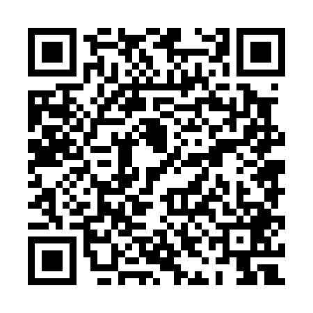 QR code for PIN0497