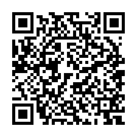 QR code for PIN2522