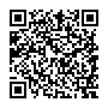 QR code for PJD9919