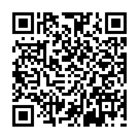 QR code for PJI3339