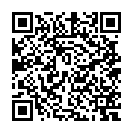 QR code for PJK0539