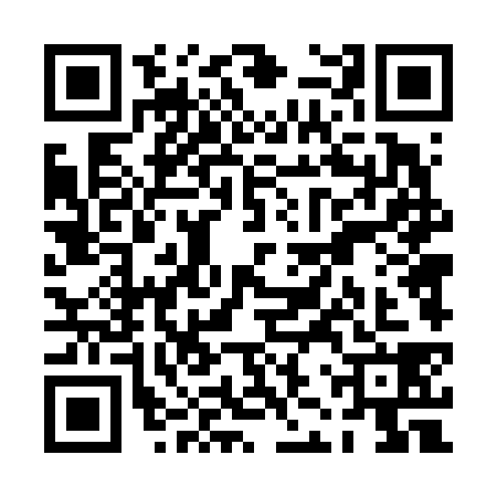 QR code for PJT6387