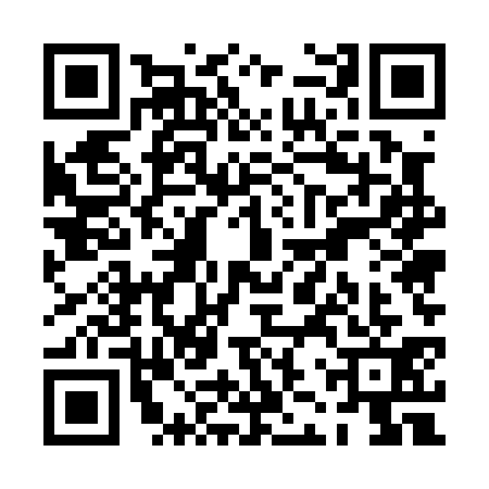 QR code for PJU0311