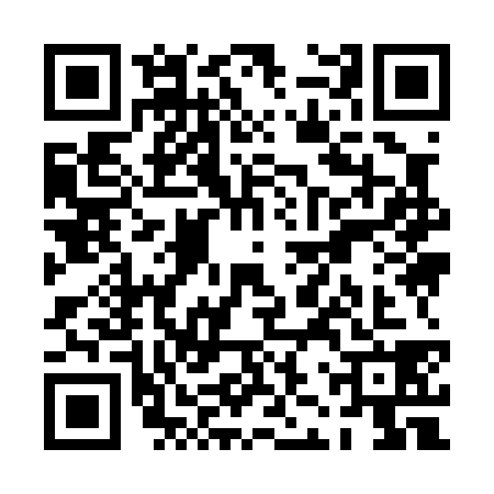 QR code for PJY0380