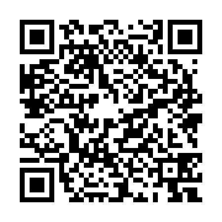 QR code for PKM2381