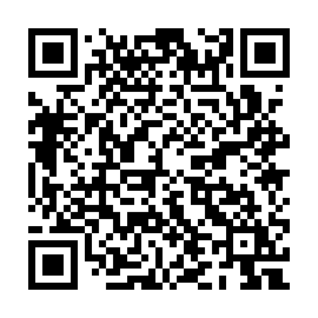 QR code for PL11QY