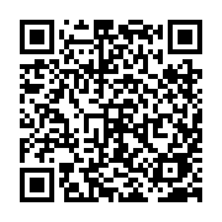 QR code for PL13IE
