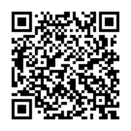 QR code for PL29HY