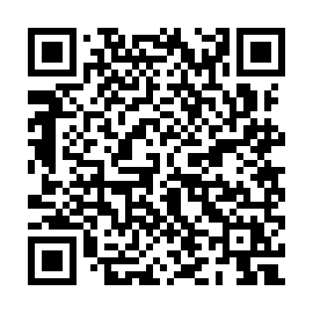 QR code for PL29MX