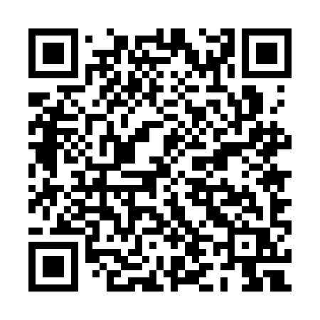 QR code for PL53IR