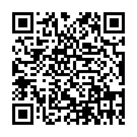 QR code for PLZ5595