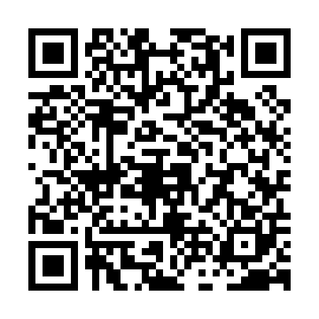 QR code for PNK0006