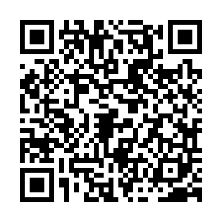 QR code for POJ3419