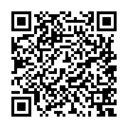 QR code for PPB9587