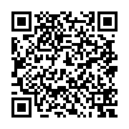 QR code for PPI0198