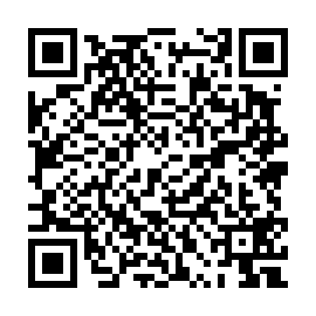 QR code for PPM4197